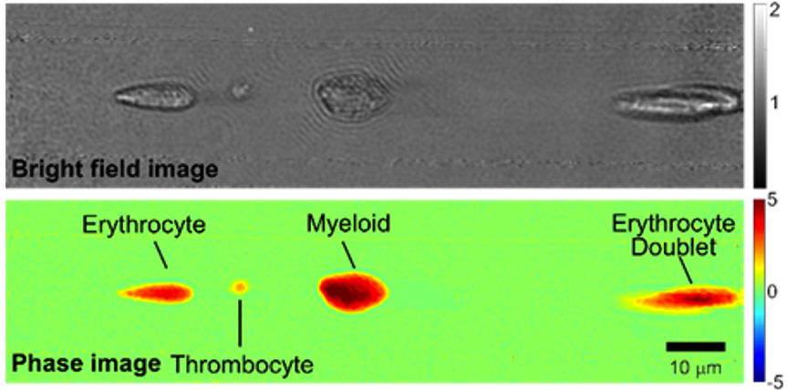 Advanced Flow Cytometry System for Precise Image Refocusing and Cellular Mass Analysis