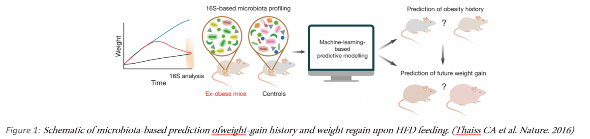 Method for Microbiome-Based Prediction, Diagnosis, and Treatment of Relapsing