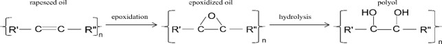 Biocatalytic production of polyols & epoxidized oils for industry