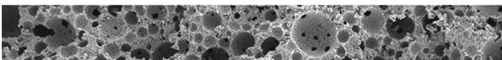 Biopolymer-containing calcium phosphate foam for bone regeneration