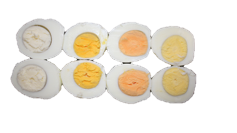 New method to increase yolk color and egg nutritional quality