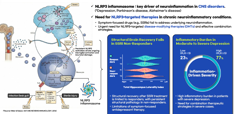 A Heterocyclic (Oxazole & Oxadiazole) Compound Library Platform for Neuroinflammation-Driven CNS Drug Discovery.