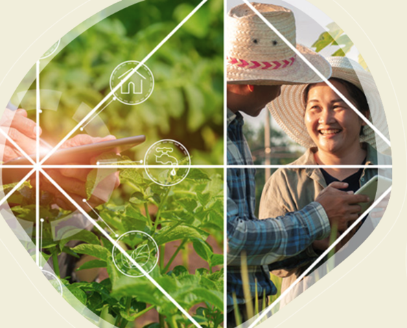 Enabling digital transformation on a shoestring (University of Cambridge, IFM, UK)