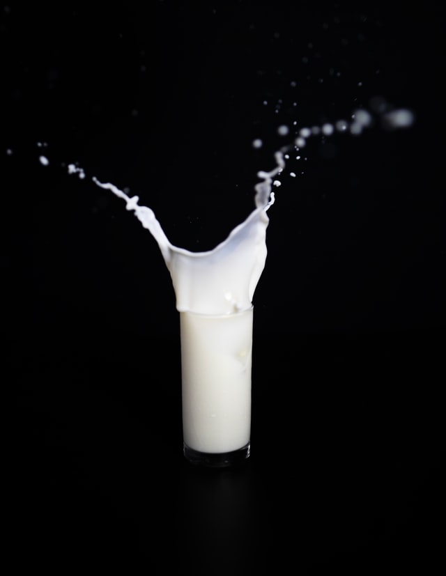 Rapid detection of Aflatoxin M1 in  milk