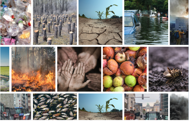 Enabling agrifood supply chain resilience (University of Cambridge, IFM, UK)
