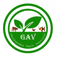 Gaibandha Agro Venture