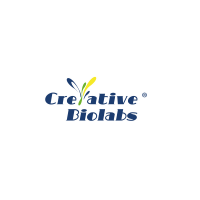 Creative Biolabs