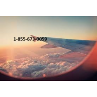 Travelocity Customer®️ 2025 Full Customer Contact Numbers in the U.S.A