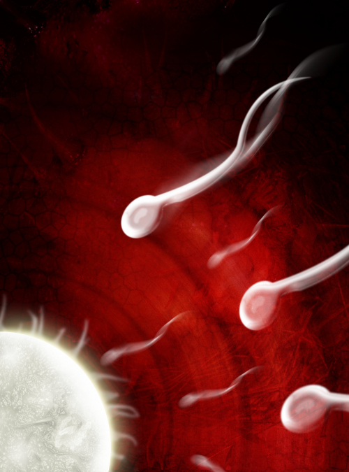 DEVICE FOR SPERM SELECTION BY THERMOTAXIS