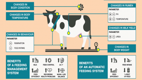 Seeking cattle livestock management system (integrated with existing infosystem)