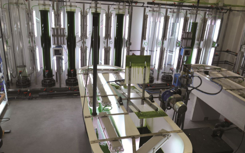 Microalgae cultivation in a versatile pilot plant