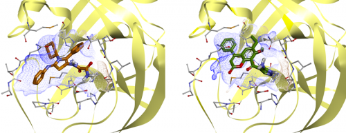 SARS-CoV-2 Main Protease Targeted Library