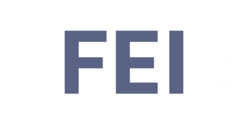FEI: Front End of Innovation 2018